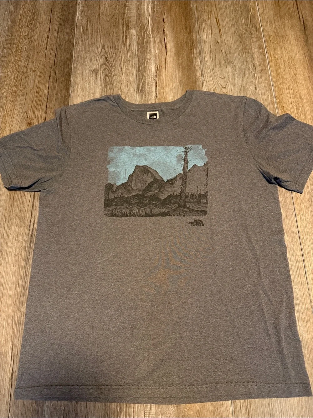 The North Face Men's Heather Gray Scenic Graphic Short-Sleeve Tee